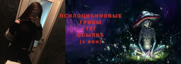 а пвп мука Абаза